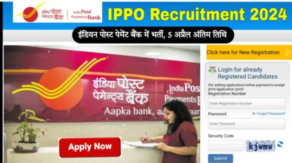 IPPO Recruitment 2024