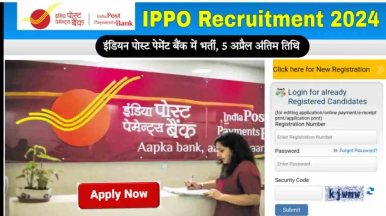 IPPO Recruitment 2024